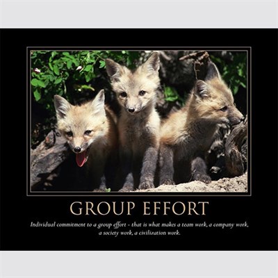 Group Effort Inspirational Poster - myDaVinci